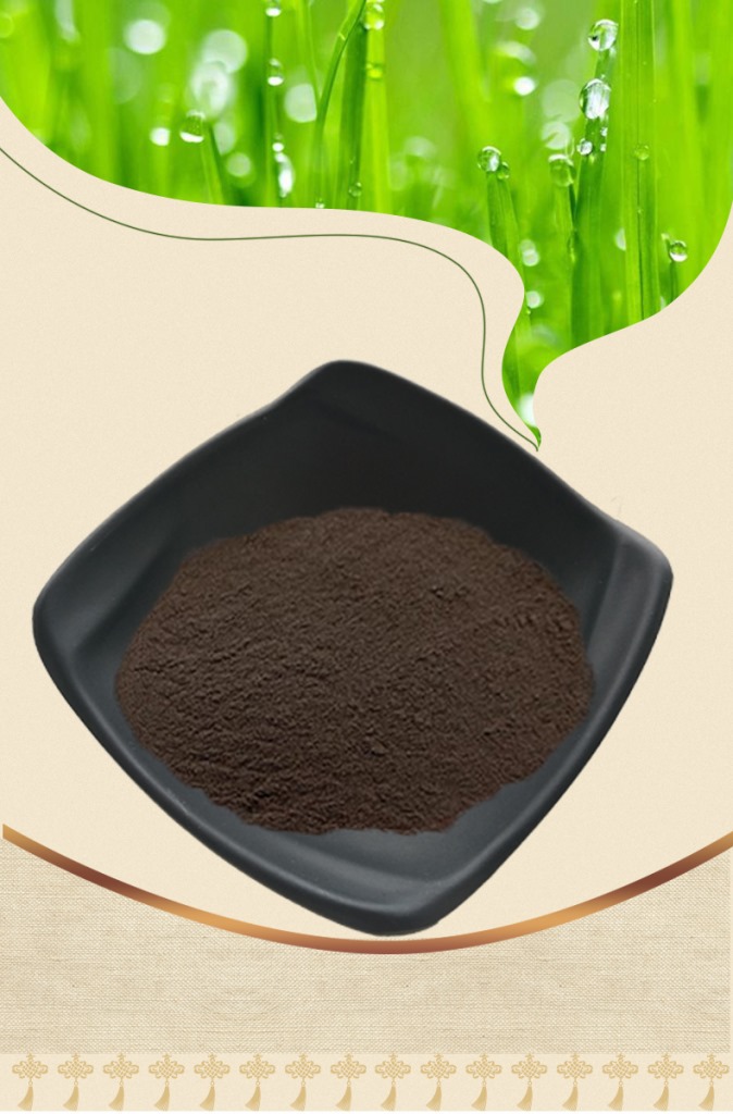 黑玛卡提取物 50:1规格 黑玛卡提取 黑玛卡粉 500克/袋 现货供应