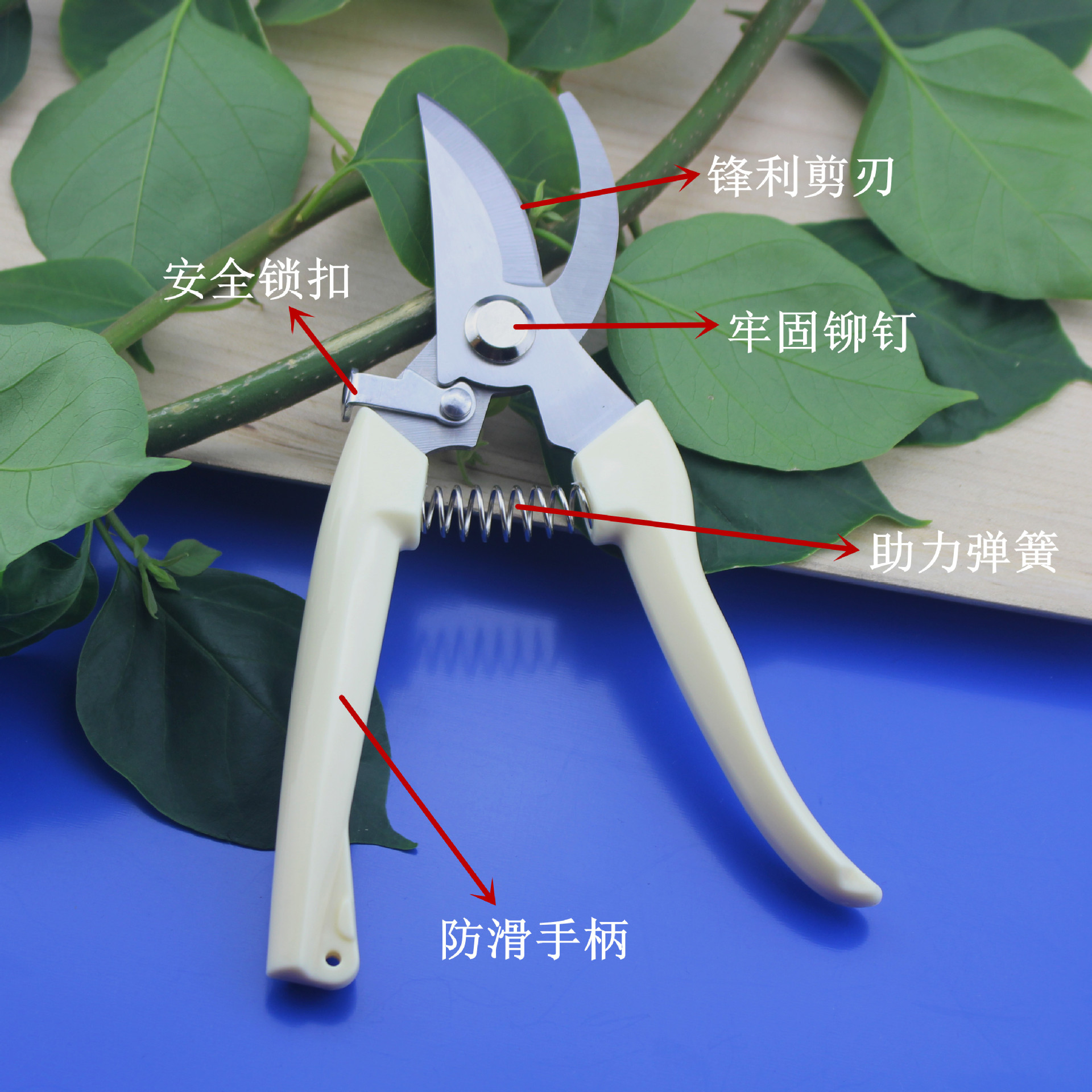 剪枝剪刀园艺树枝剪刀园林工具省力花园果树修枝剪摘果剪