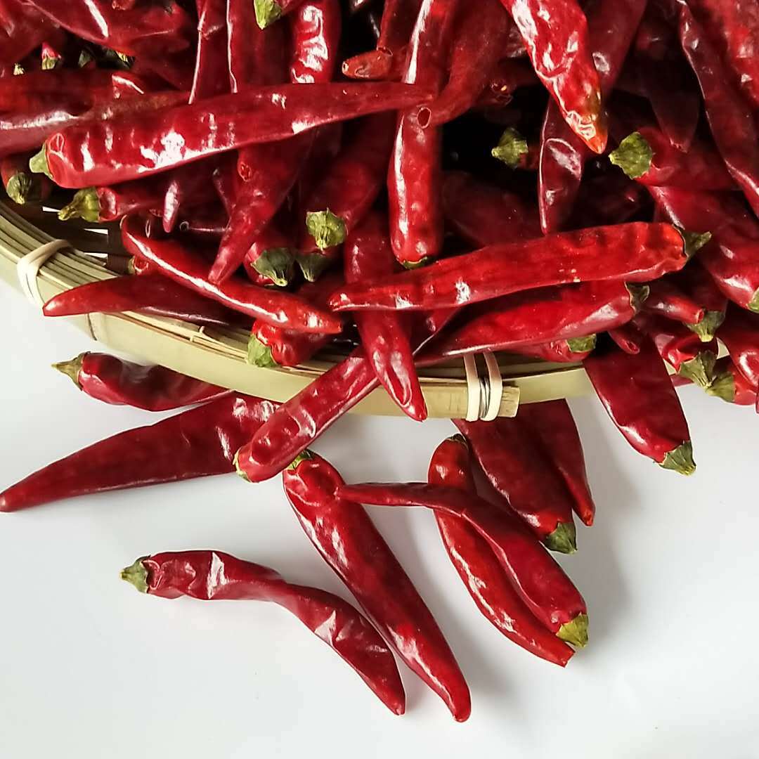 【小海椒】-小海椒厂家,品牌,图片,热帖-阿里巴巴