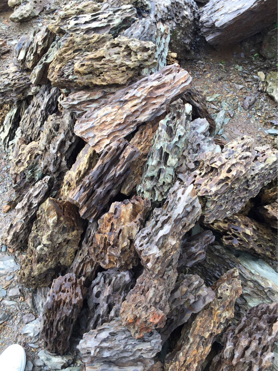 水族松皮石造景精品松皮石盆景龙骨石批发价格优惠松皮石石材