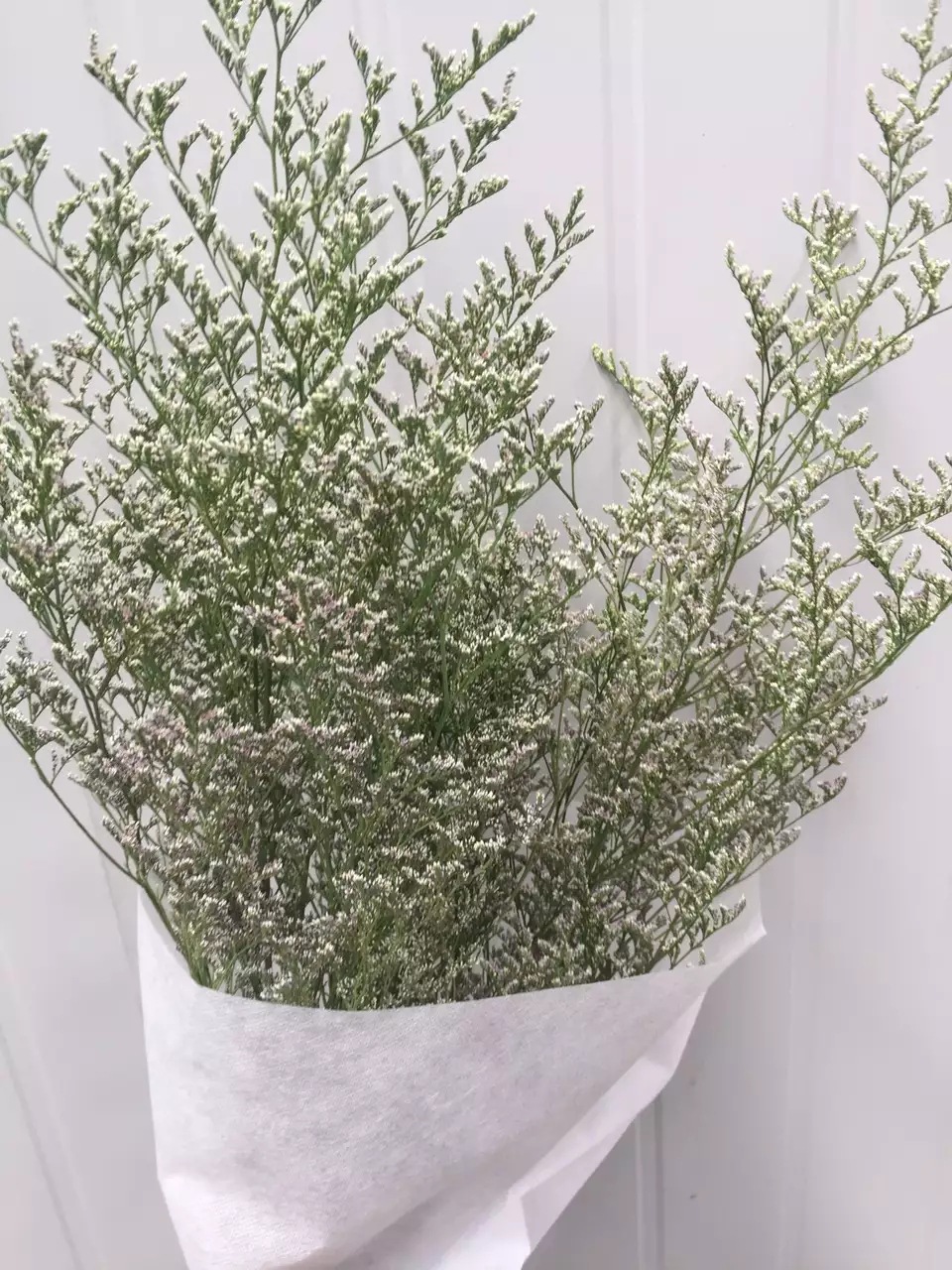 云南厂家批发天然干花配材永生花花束真花情人草家居客厅装饰摆件