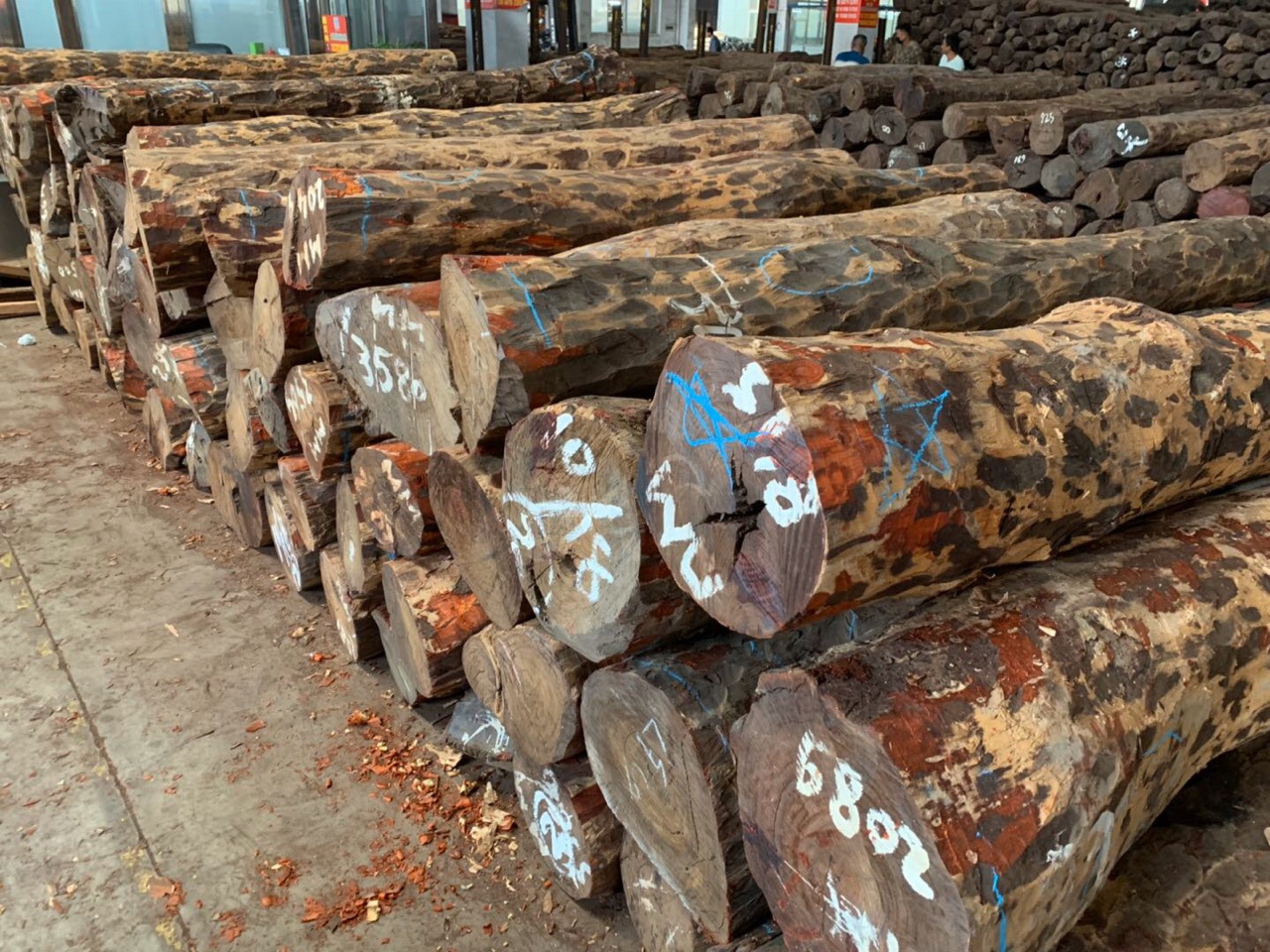 供应阔叶黄檀木材原木 印尼黑酸枝原木 加工阔叶黄檀板材家具木材