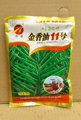 油菜种子 金香油11号油菜种子(85克)高产含油量高 油菜花种子