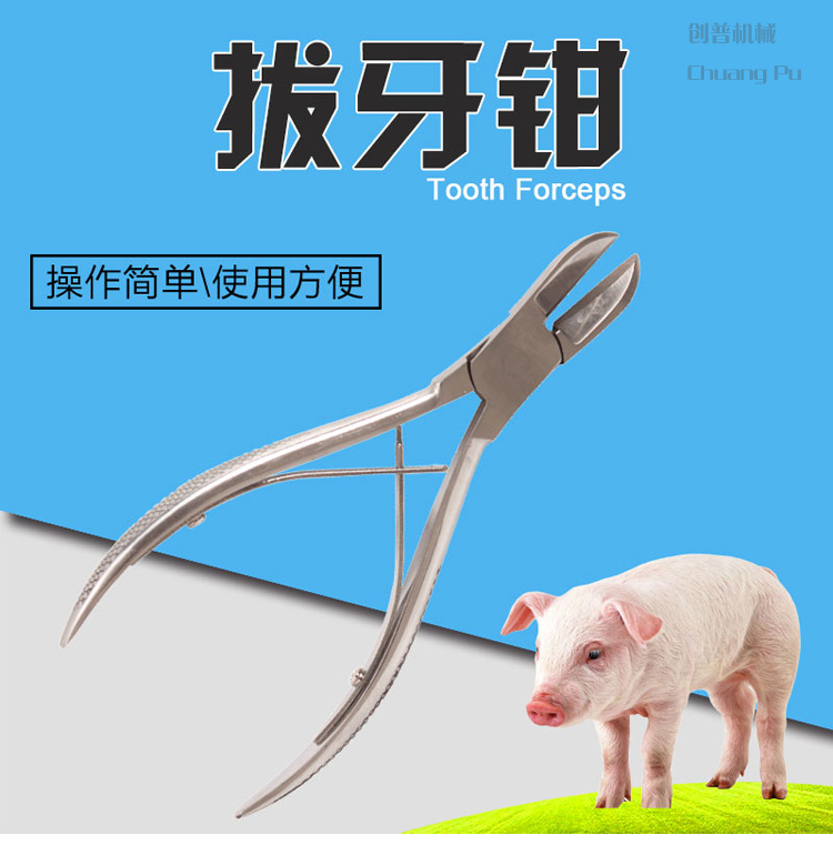 养殖场专用猪用拔牙钳子不锈钢材质小猪剪牙钳 创普机械
