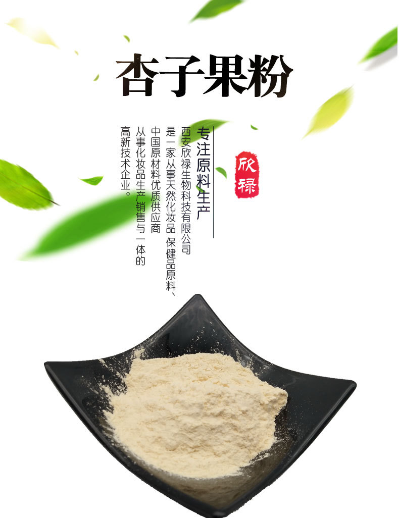 杏子果粉999杏子粉厂家现货品质保证杏子果汁粉500g袋
