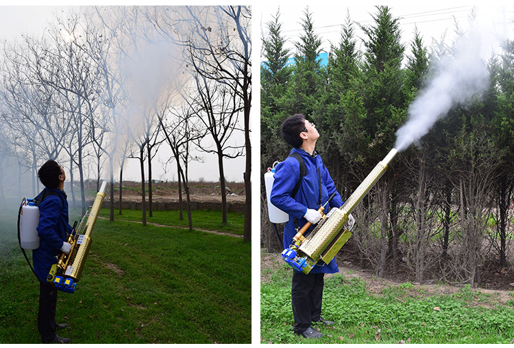 灭蚊防虫消毒烟雾机 蔬菜大棚弥雾机 背负式十里桃园喷雾器