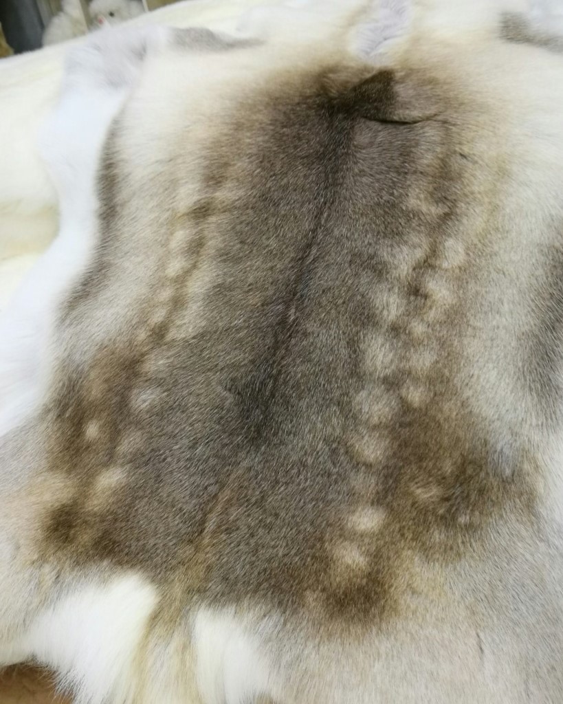 皮草-驯鹿皮 鹿皮 养殖鹿皮皮草衣服用毛领用皮草皮毛裘皮原料皮130cm