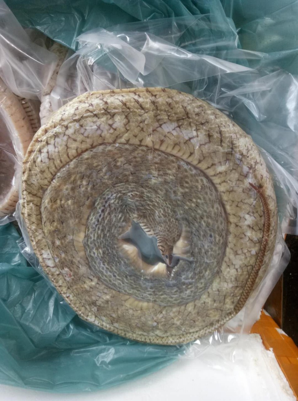 专供优质优惠的食品保健淘宝,微商货源,阿里批发进货推荐_91淘货