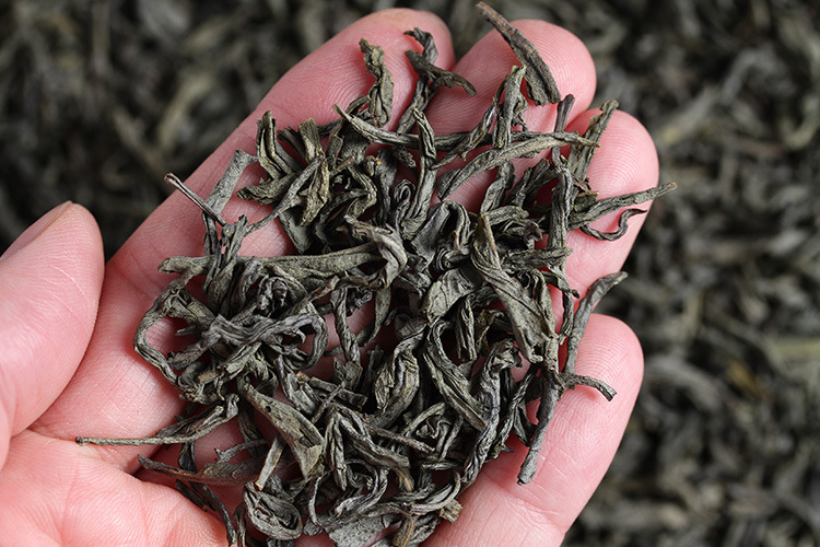 厂家批发茶叶 早春云南普洱散装茶 大叶种绿茶茶叶 蒸酶500克滇绿