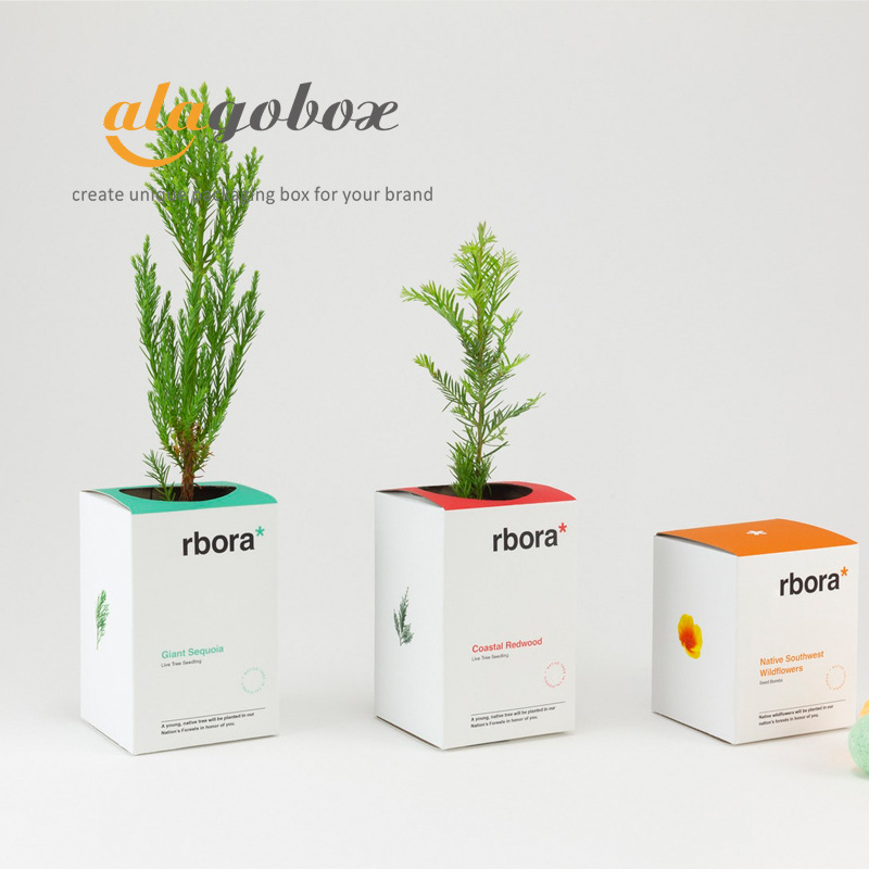 圣诞节小圣诞树包装盒 办公室多肉盆栽礼盒 迷你绿植仙人掌卡纸盒