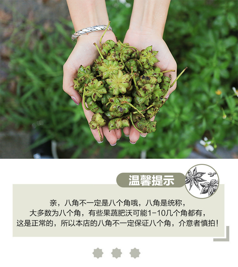 供应八角广西玉林大茴香无熏八角产地直供厂家火锅底料