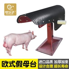 猪人工授精欧式假母台养猪设备 兽用仿母猪采精台 加厚加固
