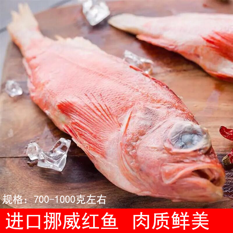 3条800g/条挪威红鱼深海鱼大西洋红石斑鱼冷冻冻尖吻平鲉进口海鲜