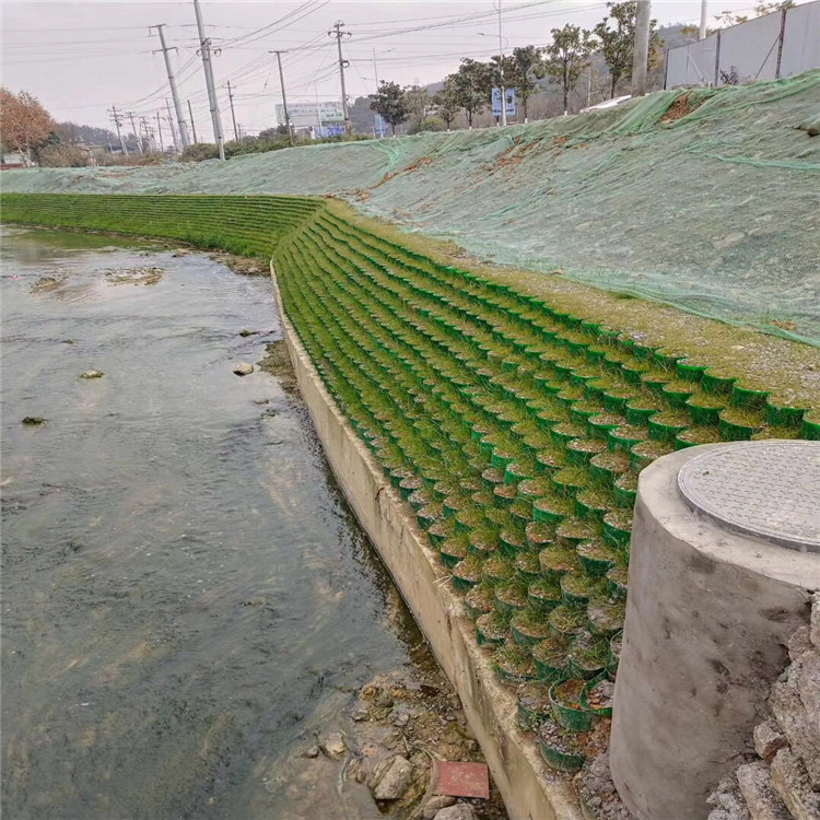 绿化环境网鱼塘山坡陡坡防护带孔无孔压花绿色黑色hdpe土工格室