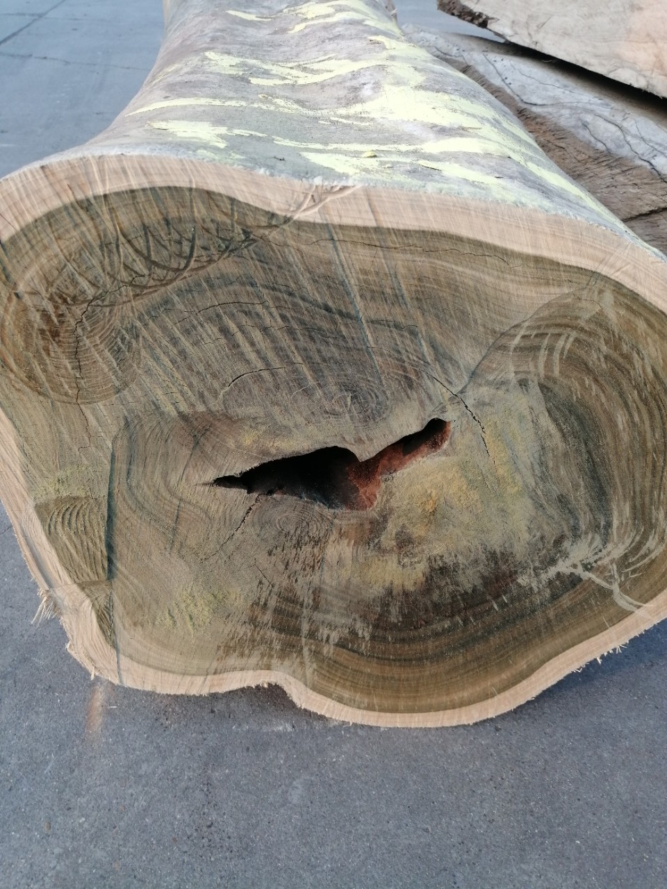 大量供应阿根廷绿檀原木阿根廷绿檀高档家具雕刻工艺品现货