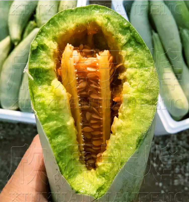 亿锦农业羊角蜜羊角脆甜瓜种籽高甜薄皮四季播大田 水果种子批发