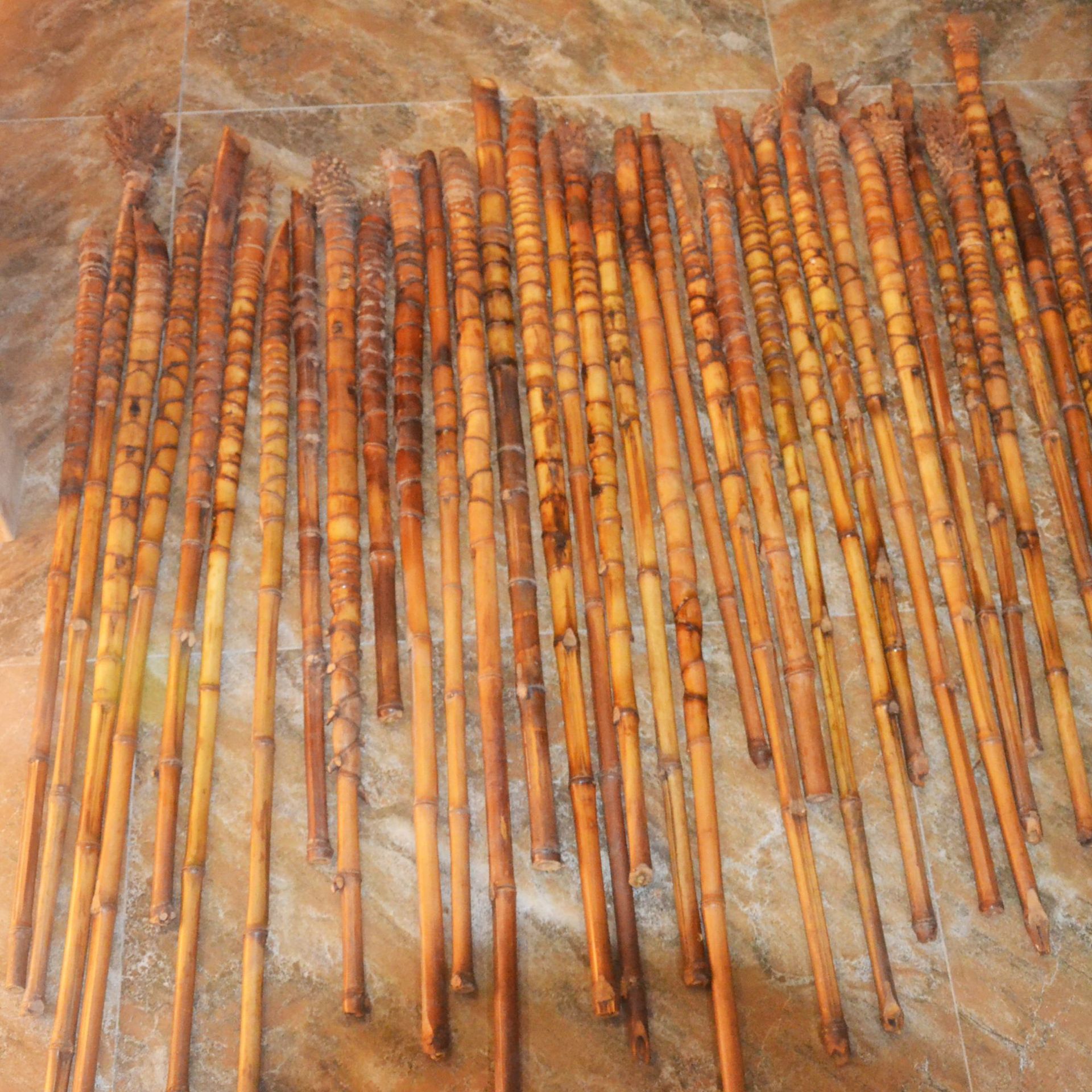 特价100根罗汉竹钓鱼竿手把竹手杖原材料龟甲竹罗汉竹扇骨碳化竹