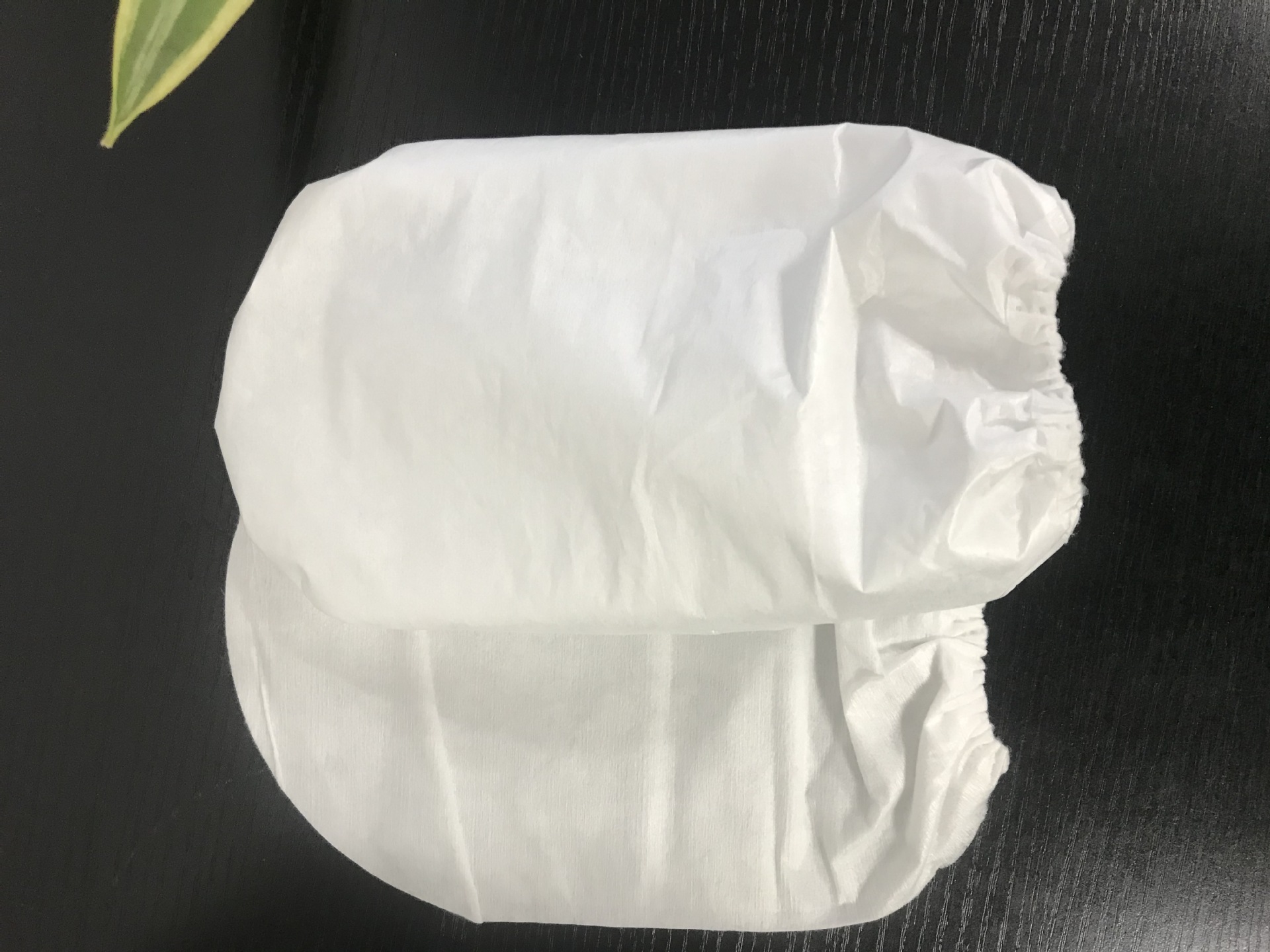 双层拾便袋一次性宠物粪便拾取袋宠物粪便收集袋狗狗拾便器捡屎袋