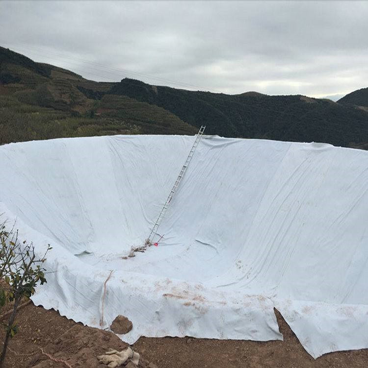 600克两布一膜复合土工膜现货鱼塘护坡护堤人工湖防水布防水卷材
