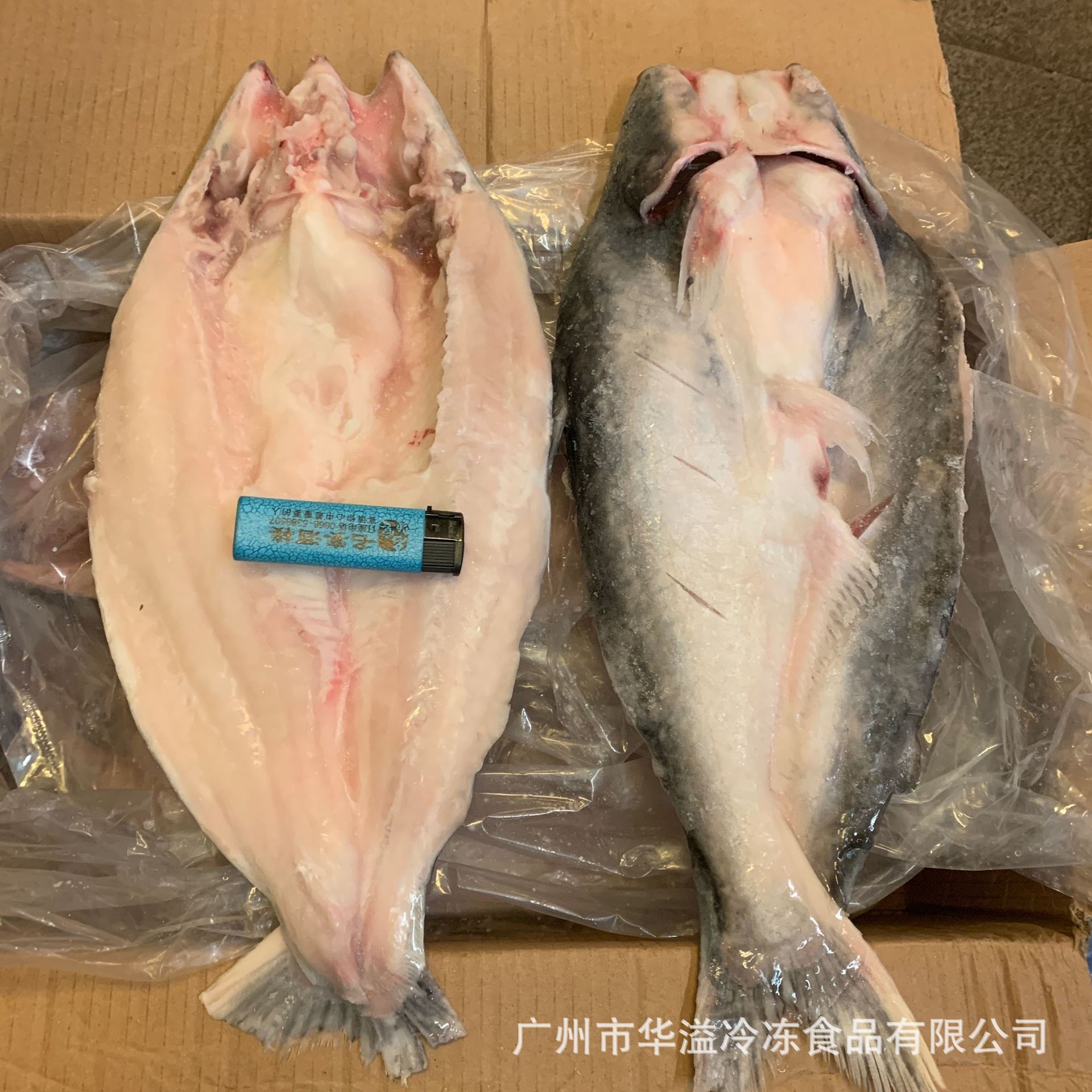 越南活冻开背巴沙鱼 烤鱼 20斤/件 广州批发冷冻巴沙鱼 烤鱼