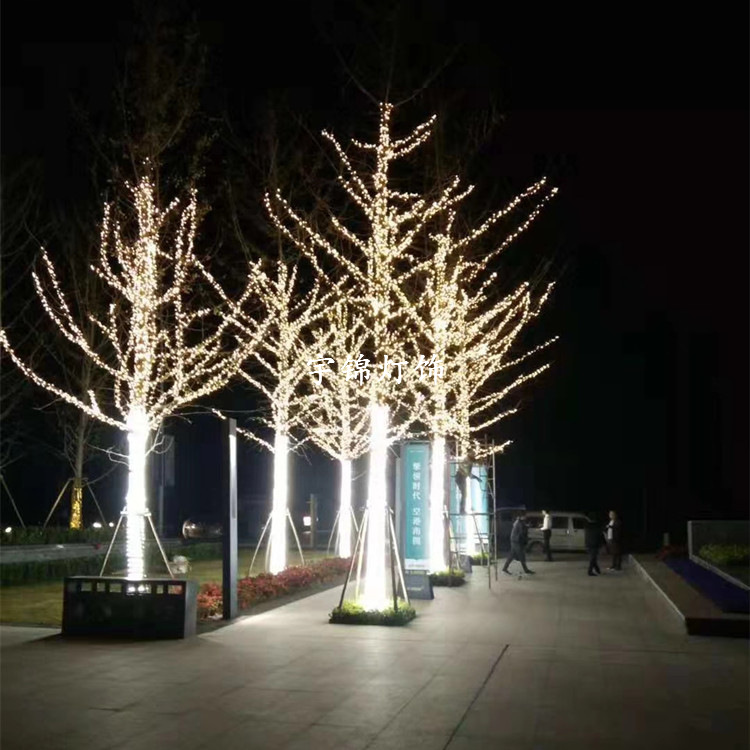 led小灯串彩灯闪灯满天星户外防水公母插工程亮化树木装饰灯