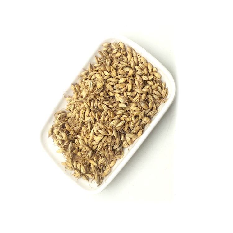 批发 中药材 生麦芽 麦芽 浮小麦 炒麦芽 大麦毛 全芽足干