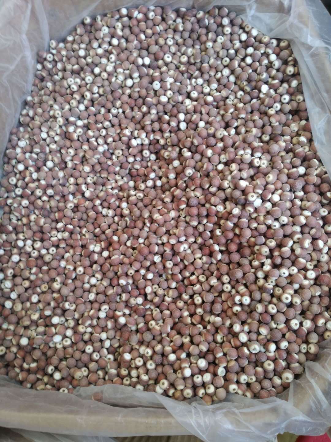 批发中药材 芡实 鸡头果 黄实 一件起批 量大从优 品质过筛无硫