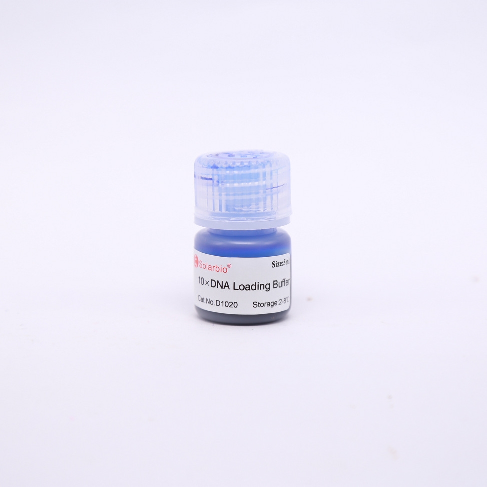 10×dna上样缓冲液 d1020 5ml/支