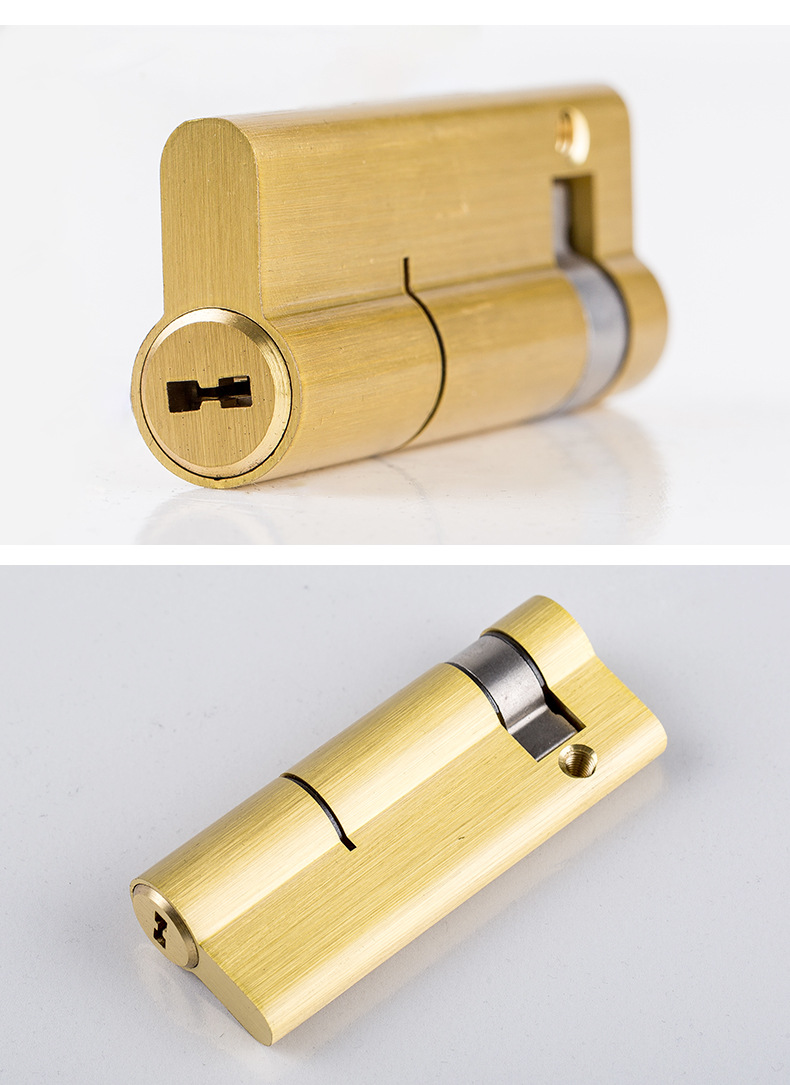 瑞盾厂家直销半截真插芯电子锁芯真插芯锁芯 铜锁芯电子锁指纹锁