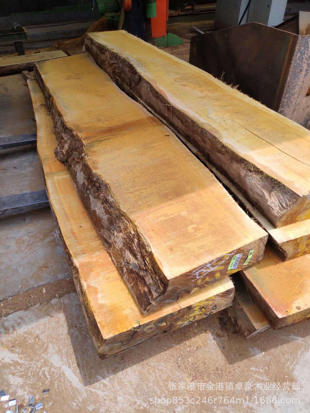 黄硬木原木 黄乳木原木 黄硬木 黄乳木 黄胆木 工艺家具 现货供应