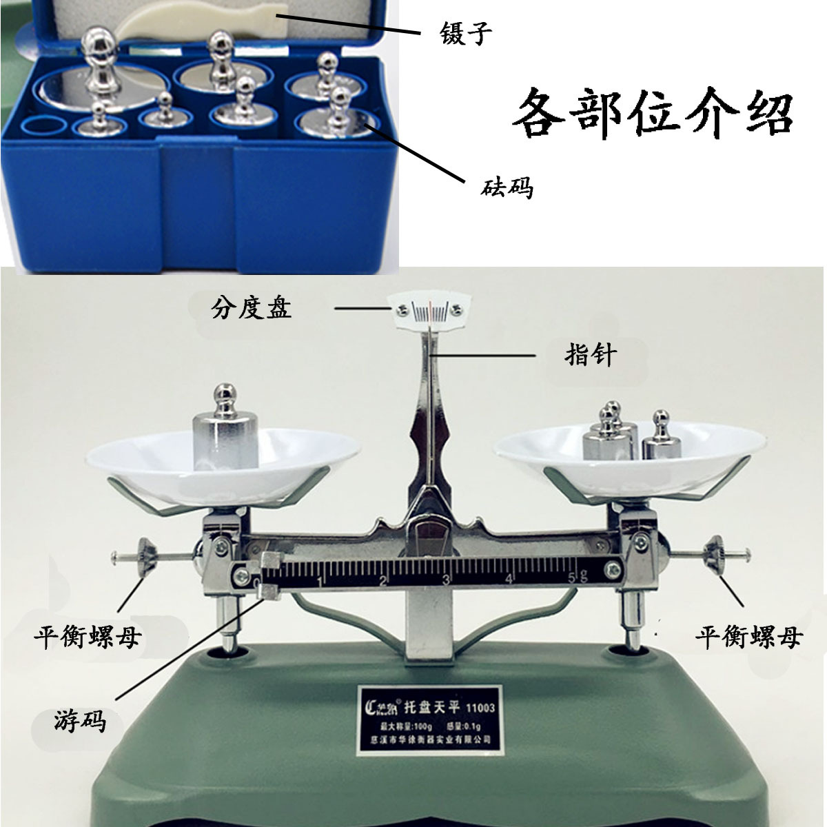 厂家直销 托盘天平200g100g500g机械天平学生实验用 架盘天平秤