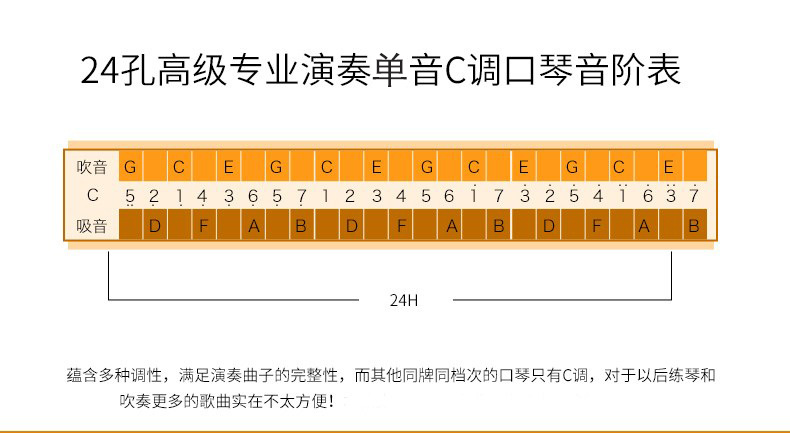 单音口琴进口音簧天鹅24孔单排单孔c调 儿童成人初学高级专业演奏