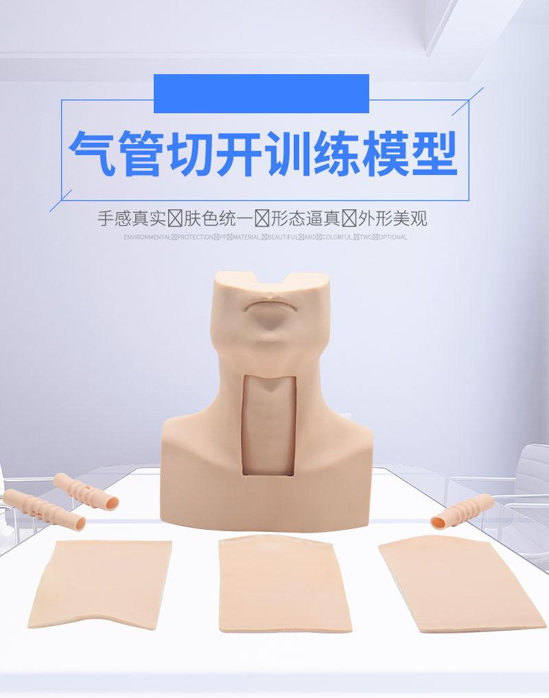 高级环甲膜穿刺及气管切开插管训练模型