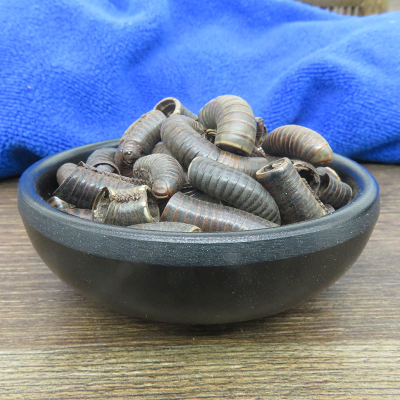 禾晟堂千足虫马陆滚山虫批发昆虫药材现货供应500g