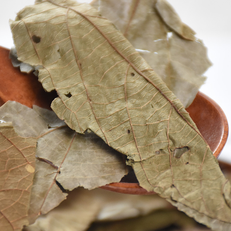 中药材布渣叶火布麻蓑衣子破布叶麻布叶量大从优