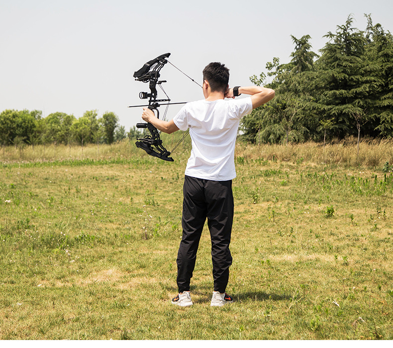 新款两用弓2合金版射箭钢珠两用滑轮复合弓猛禽夜刃弓箭钢珠弓2用