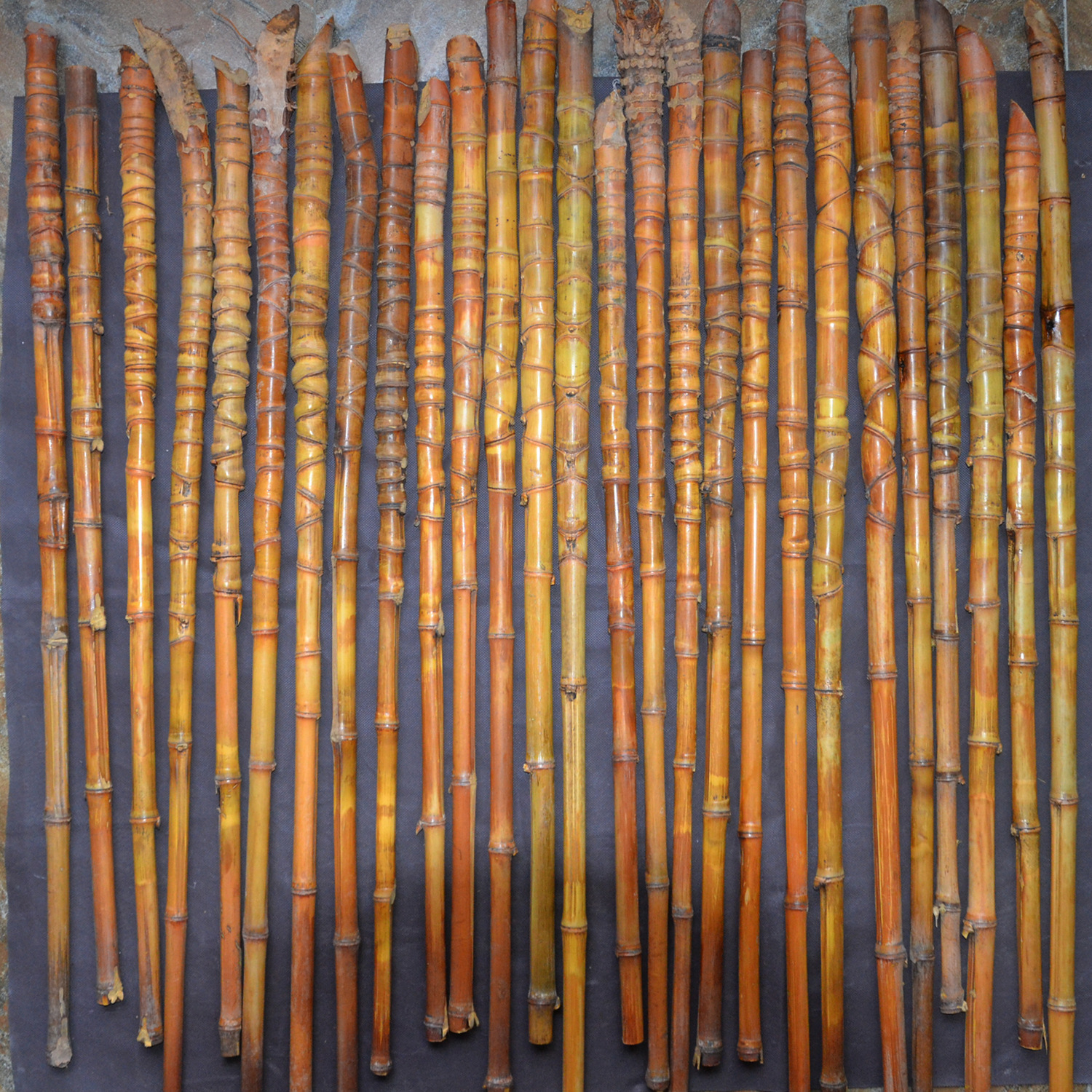 特价100根罗汉竹钓鱼竿手把竹手杖原材料龟甲竹罗汉竹扇骨碳化竹