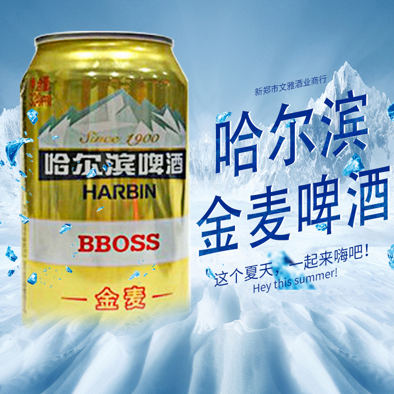 批发哈尔滨啤酒哈啤哈啤畅享哈啤金麦啤酒330ml听装大量现货供应