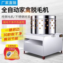 通达 50型全自动小型家用60型商用电动鹌鹑鸡鸭鹅打毛 家禽脱毛机