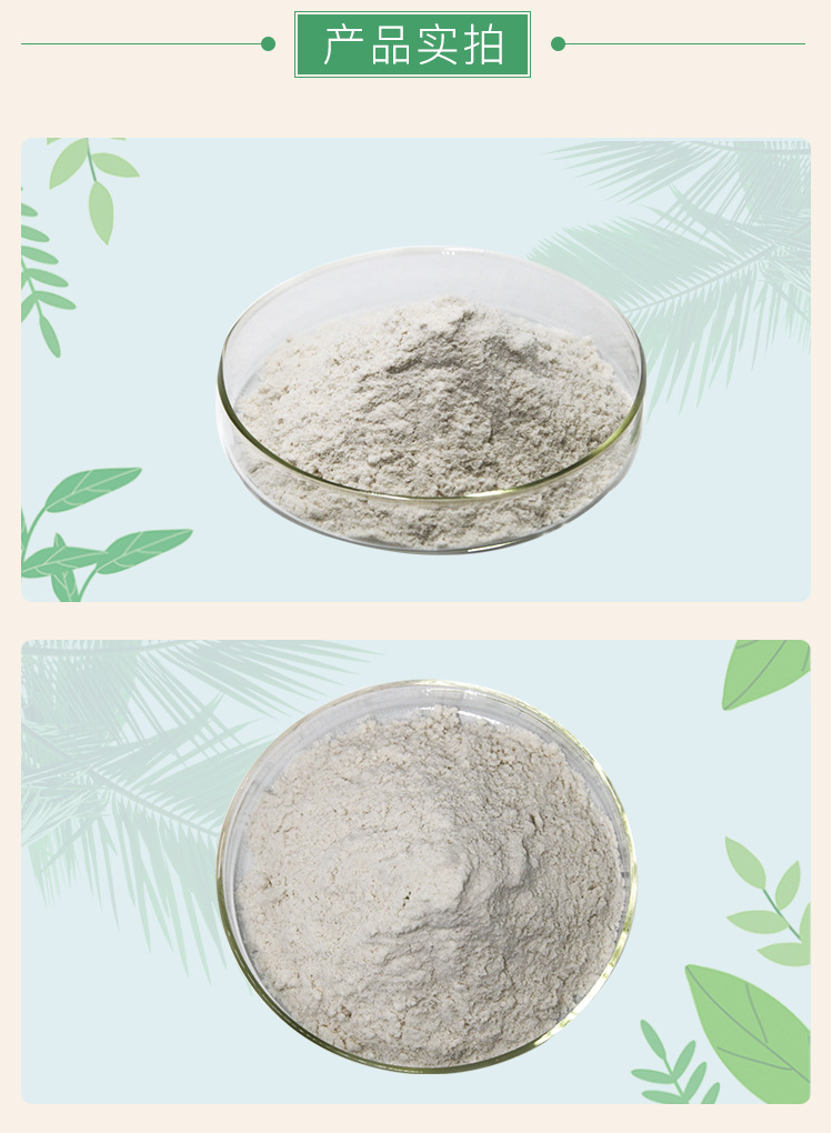 根皮苷98% 苹果茎叶提取物源头厂家直现货 cas:60-81-1