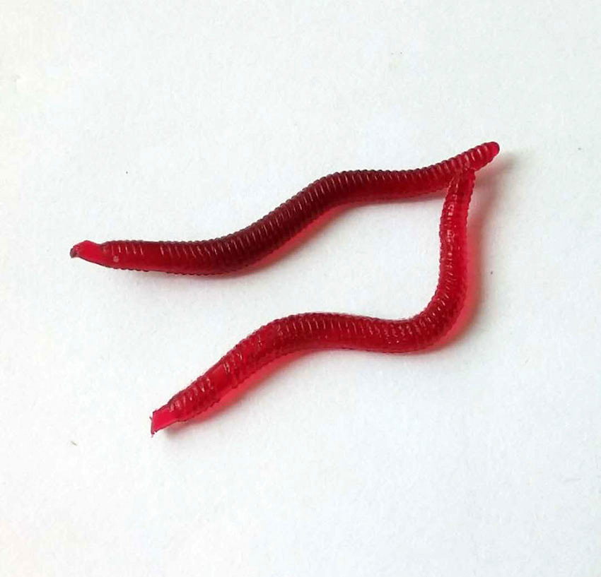 5cm 假红虫100条/包 加腥味蚯蚓拟饵 淡水通用假鱼饵