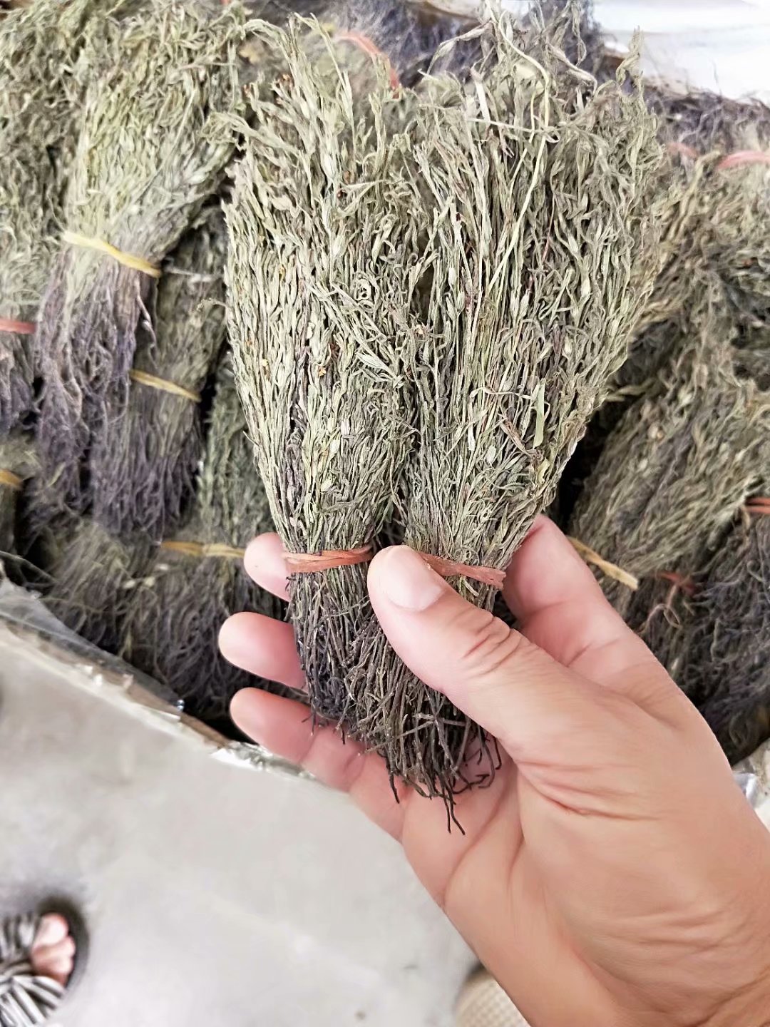 中药材独脚金 独脚柑 疳积草 每件500克