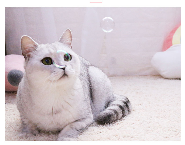 大瓶装120ml猫咪薄荷泡泡玩具互动益智猫薄荷泡泡水猫薄荷逗猫棒