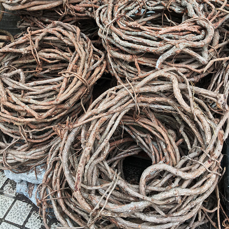 过江龙山藤植物真山藤条室内外装饰纯天然树藤藤蔓仿真大树生产