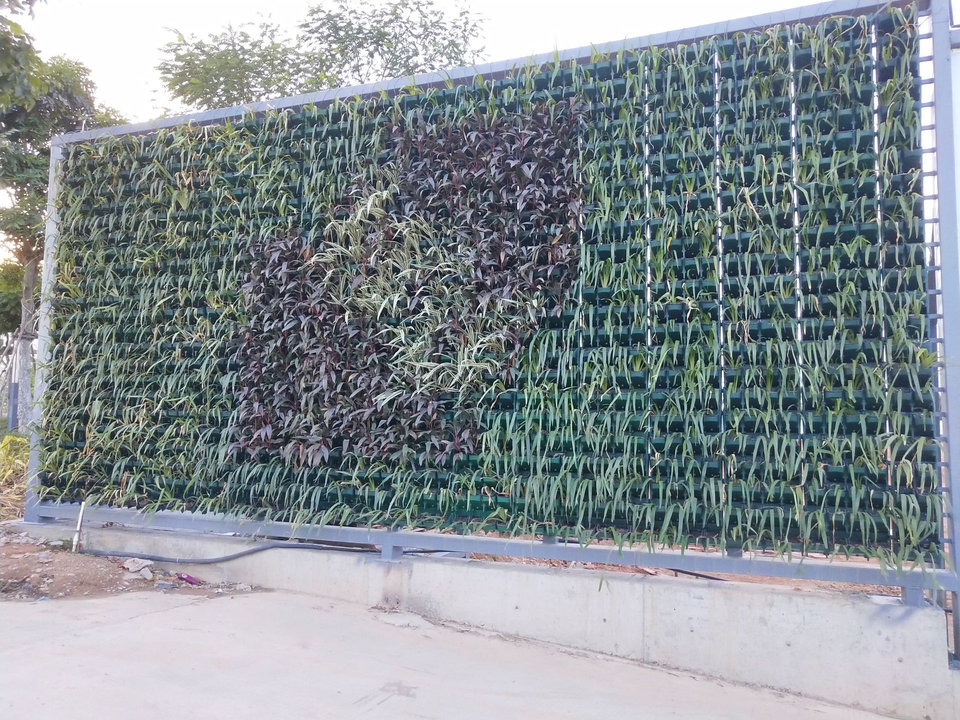 前海生态围蔽 立体化植物墙 垂直立体绿化生态围挡花草花奔围墙