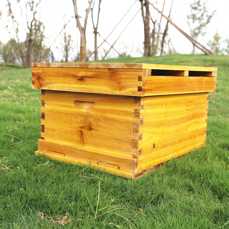包邮 厂家直销煮蜡中蜂蜂箱 全杉木优良中蜂蜂箱养蜂工具平箱批发