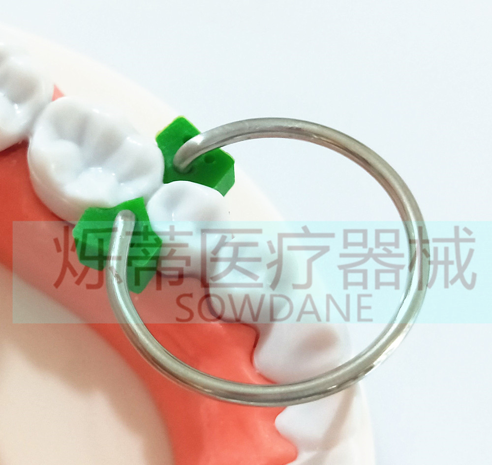 牙科 豆瓣成型片辅助 补牙 材料 牙楔卡环 卡扣 单只