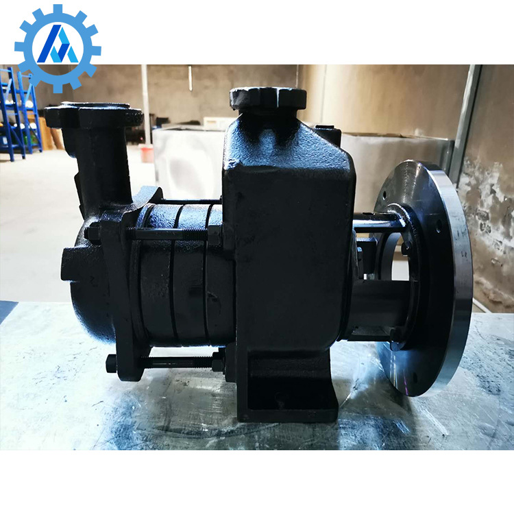 厂家直销功率15kw 气液混合泵 微纳米汽包发生泵 河道水质净化泵