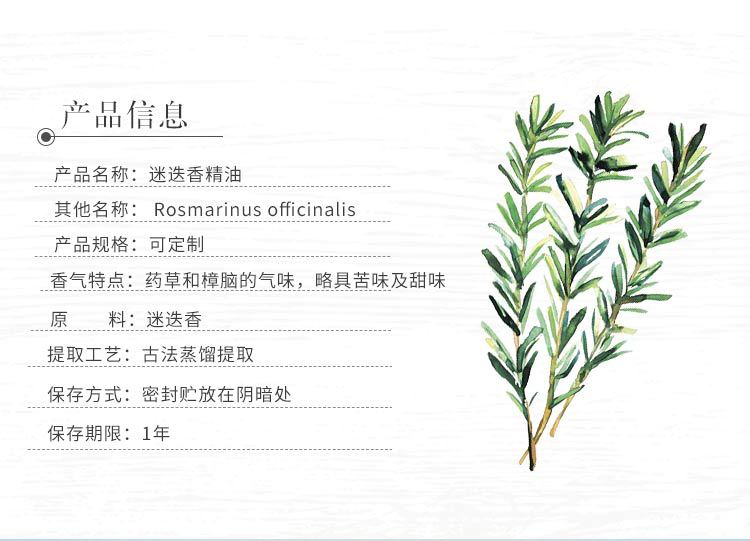 迪沃森桉油醇迷迭香精油 植物原料原料精油