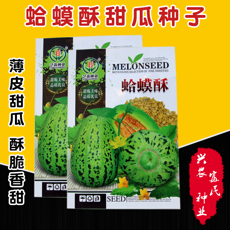 蛤蟆酥花皮甜瓜种子 农田菜园中早熟甜脆嫩肉厚甜瓜籽水果种子